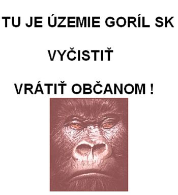 Gorila1